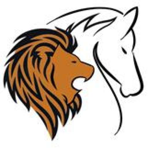 LION HORSE LLC